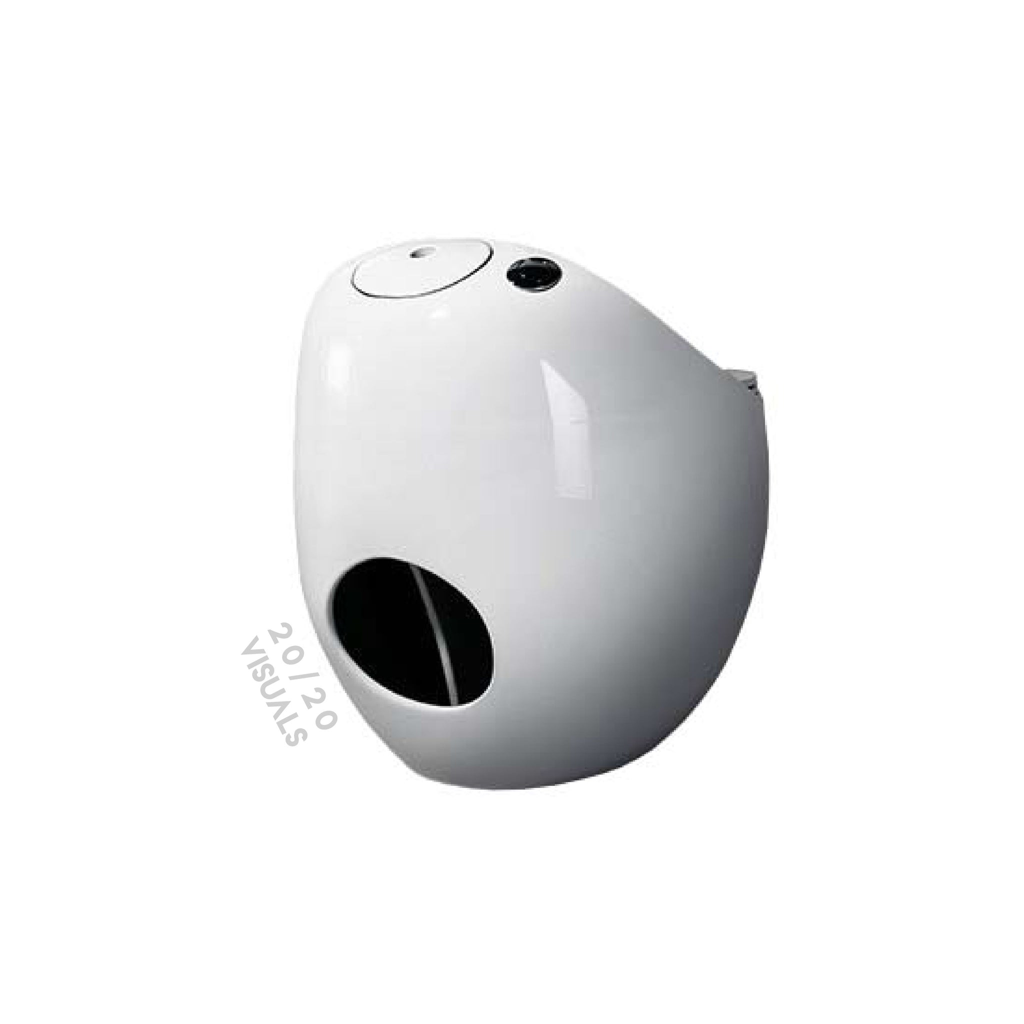 Egg Shaped Toilet